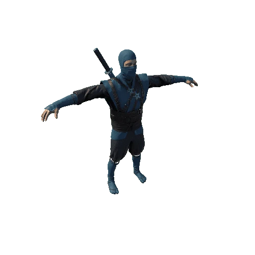 Ninja Blue